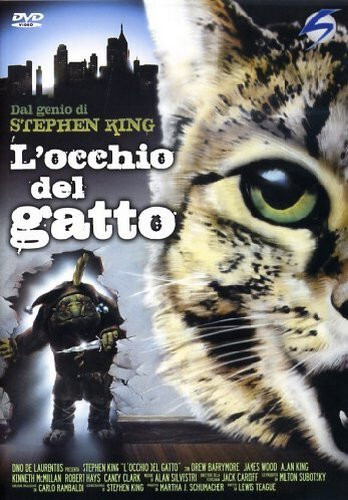Occhio del gatto - gatto, (dvd)